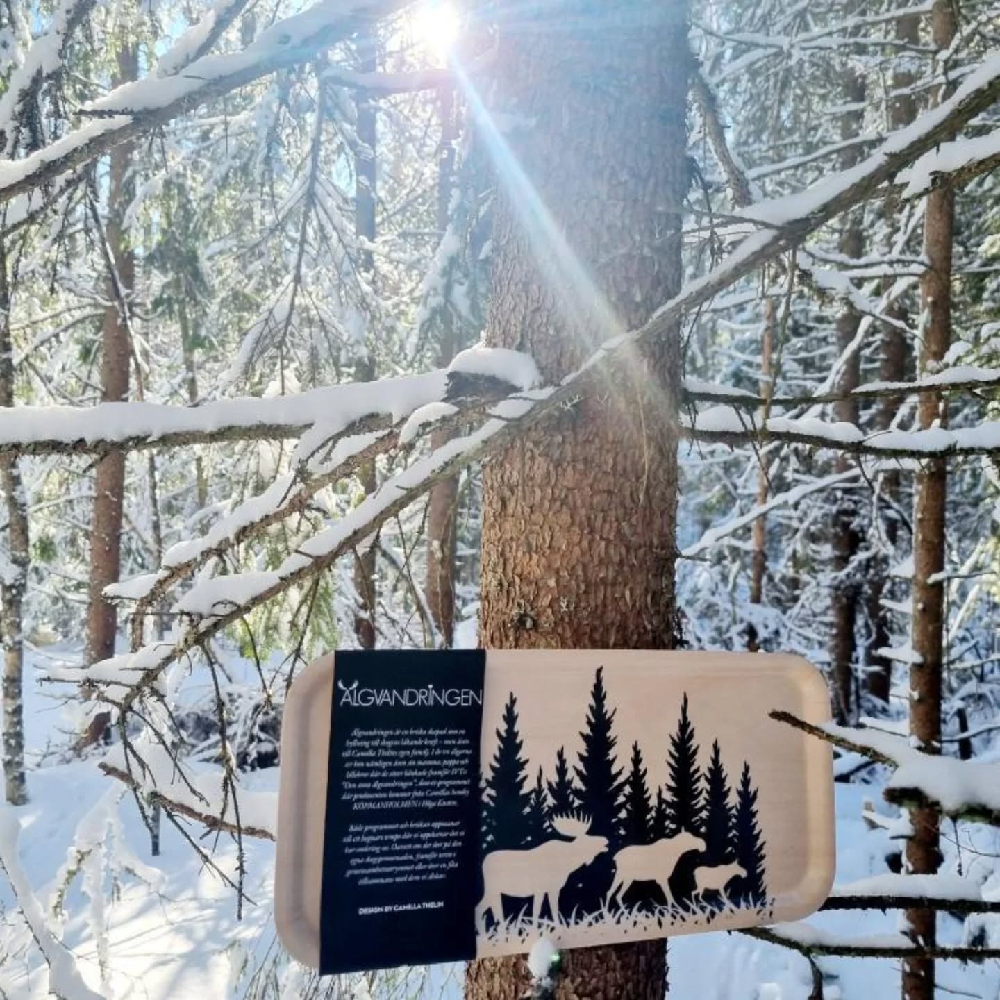 Den stora älgvandringen, som trollbundit så många. Fantastisk produktion och rogivande program. Jag har designat en liten bricka, perfekt för en macka, kaffe eller te koppen. Kanske behöver du en julklapp?
#camillathelin
#design
#artist
#konstnär
#formgivning
#Foryou
#artist
#presenter
#denstoraälgvandringen
#jul
#julklapp
#presenter
#högakusten
#norrland